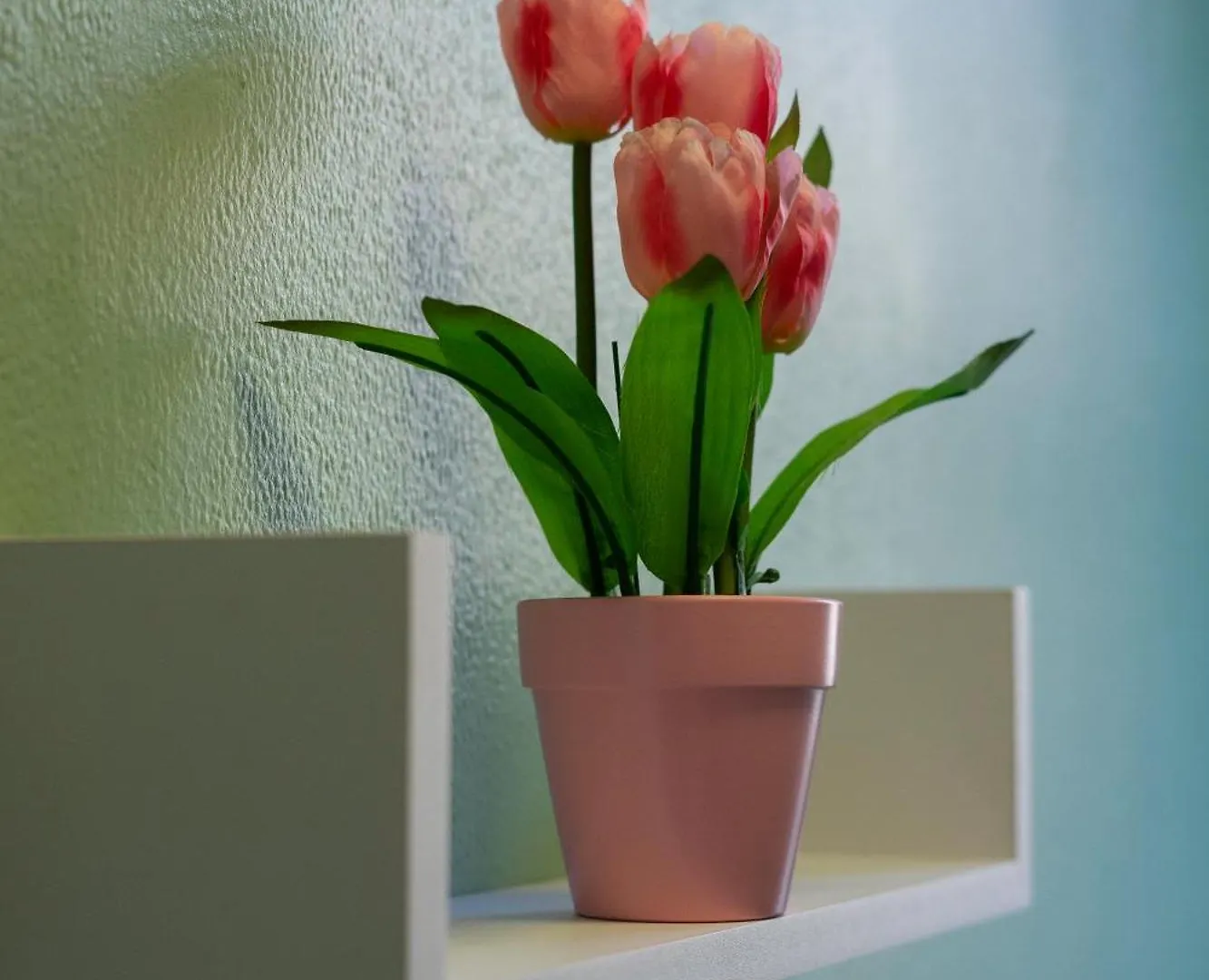 Appartement The Eden Apartment, Edinburgh City Center Verenigd Koninkrijk